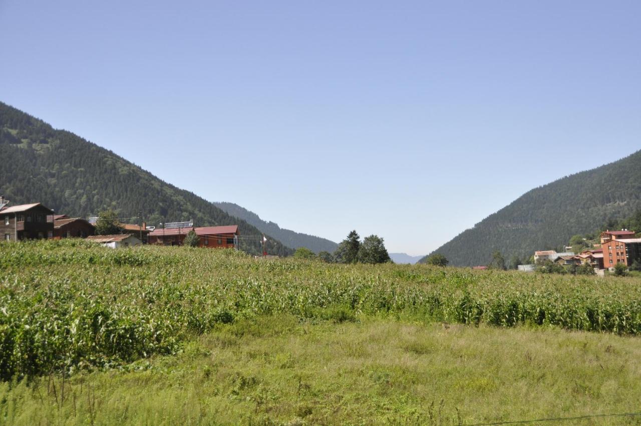 Anemo Suite Uzungöl Luaran gambar